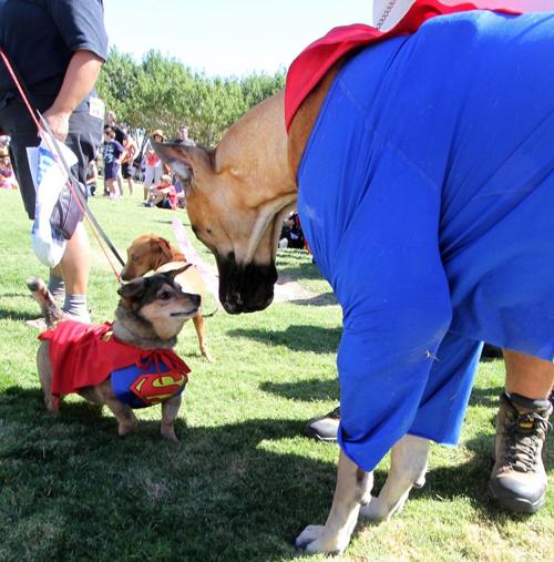 Barktoberfest