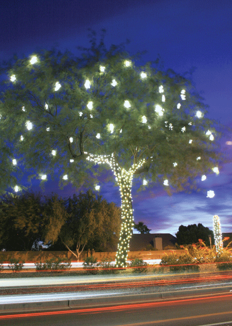 Festival of Lights faces red ink