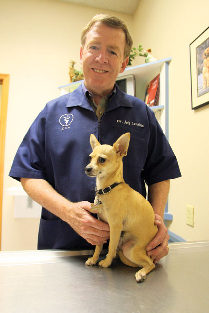 Keeping pets safe on Halloween