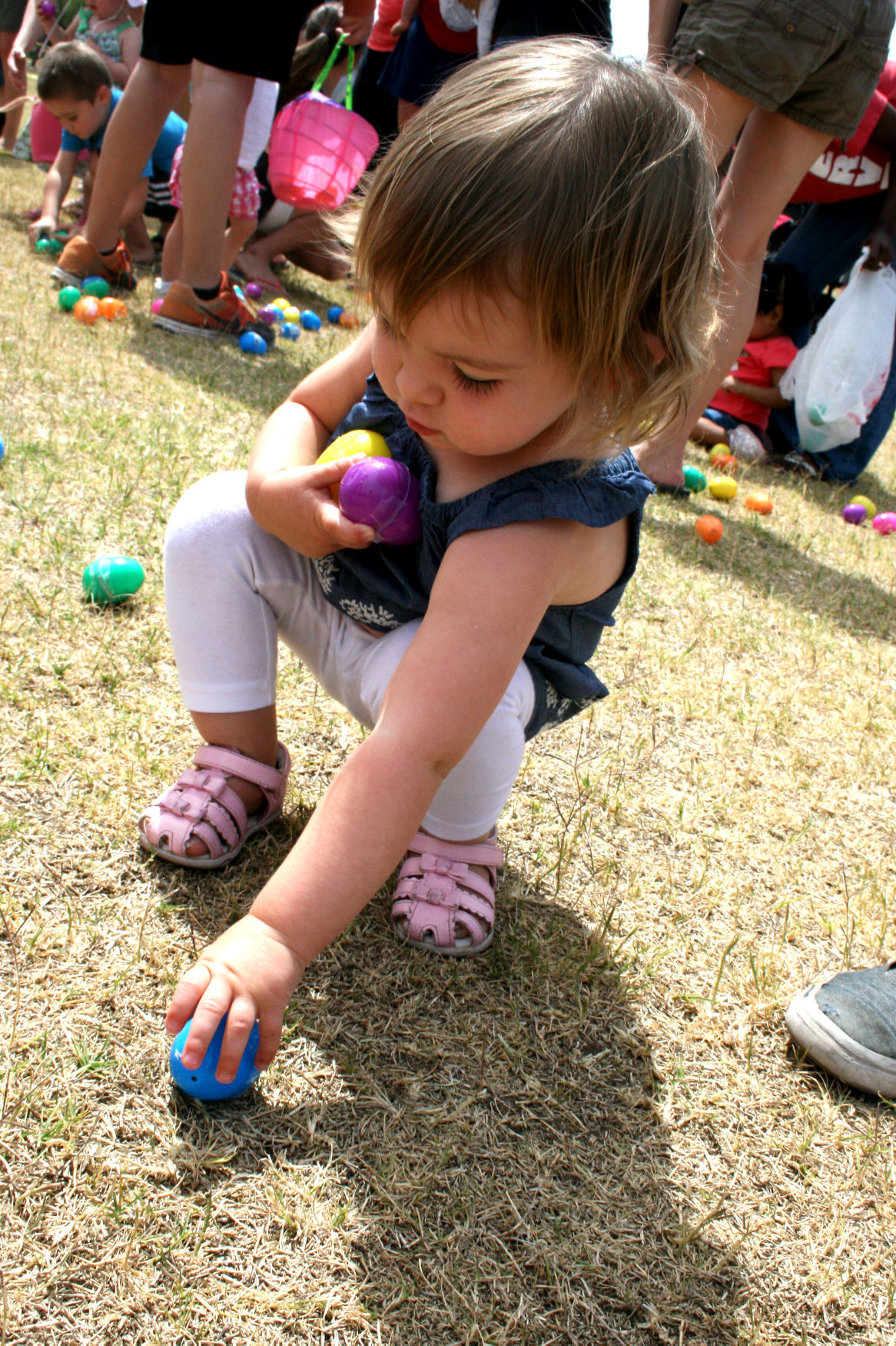 Free Easter Egg Hunts All Aroun