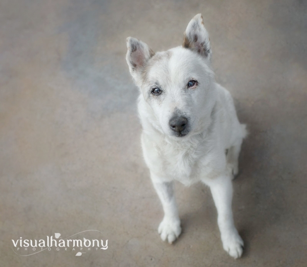 Someone to love: Jordan