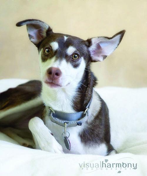 Someone to love: Coco