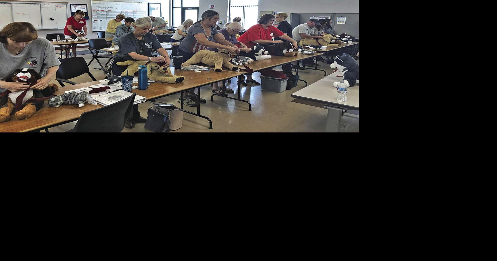 Ahwatukee company offers pet rescue courses | Enterprise