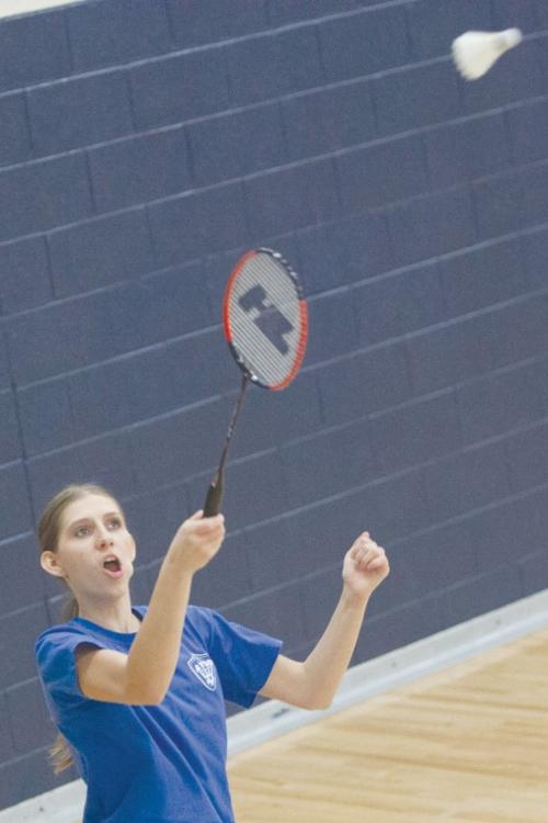 DV Badminton