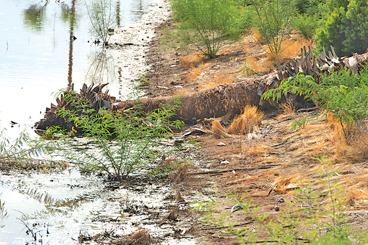 Lakes Course Progress In Dispute As New Court Round Looms News
