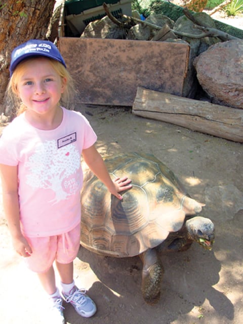 Camp Zoo offers unique experience for campers