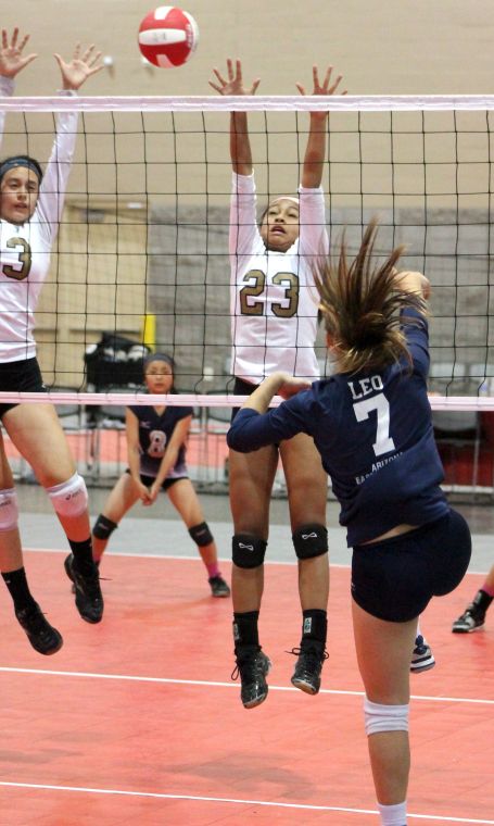 Volleyball Festival