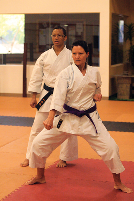 Chamber event features scratching, kicking and safety