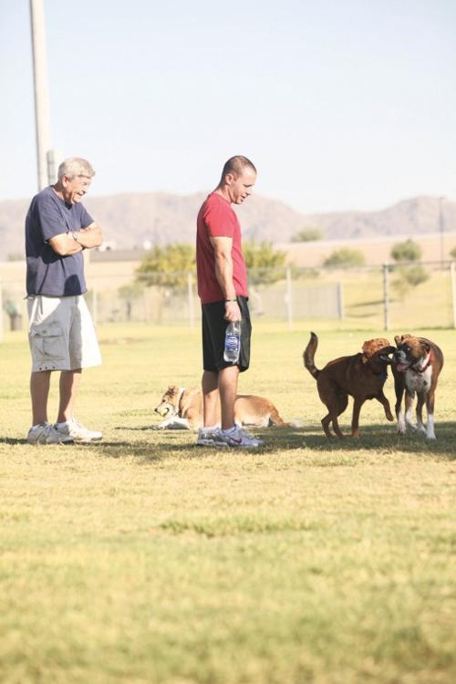 afn.100610.com.dogpark3.jpg