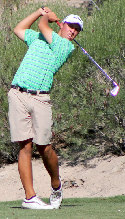 PING Phoenix Junior