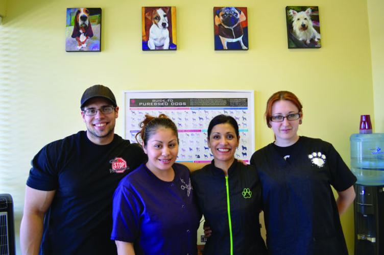 Best pet grooming Fluffy Tails Pet Salon Special Sections