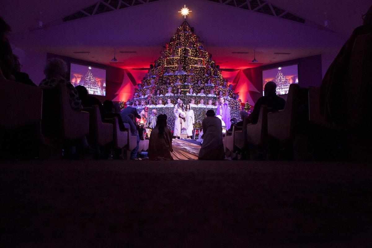 Shandon Singing Christmas Tree 2022 Foothills Baptist Choir Adorns Living Christmas Tree With Music | Holly |  Ahwatukee.com