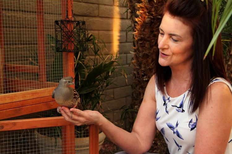 Cheri Fromm of Ahwatukee is called “The Quail Lady” for a reason. Founder of the Quail Sanctuary of Ahwatukee Foothills, Fromm has rehabbed scores of injured birds and nursed abandoned ones as well. She approaches her work with a physician’s precision.