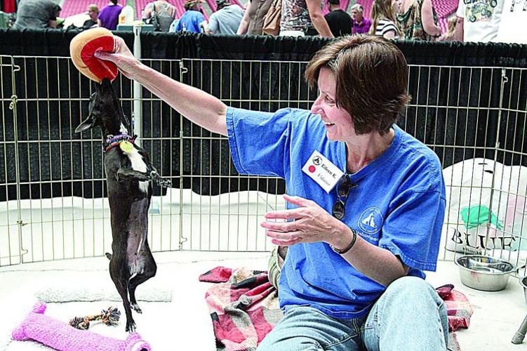 Stadium opens doors to pet fans Valley And State