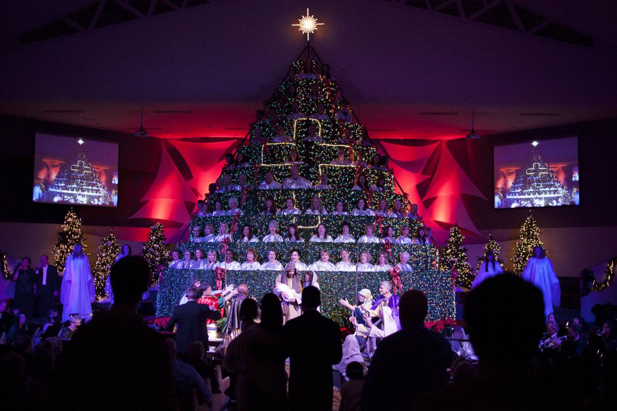 Shandon Singing Christmas Tree 2022 Foothills Baptist Choir Adorns Living Christmas Tree With Music | Holly |  Ahwatukee.com