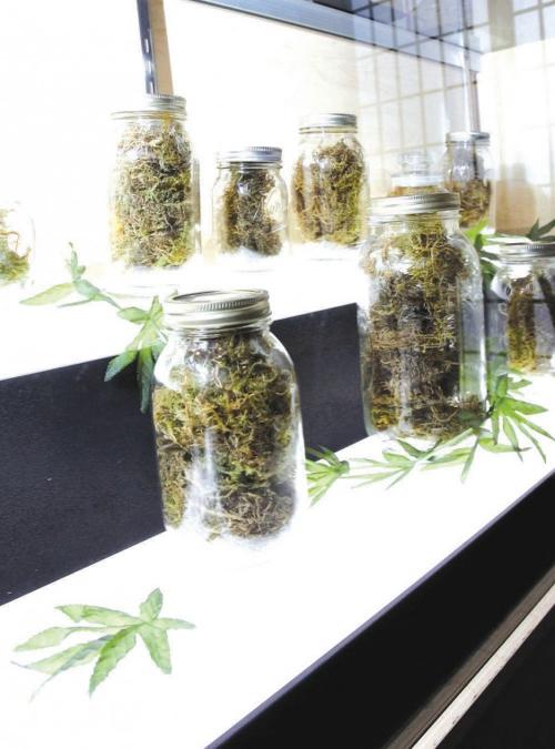 afn.081012.com.marijuana.jpg