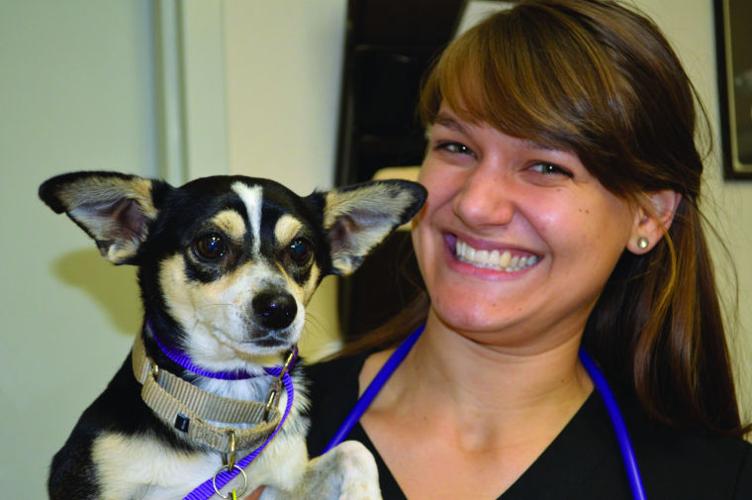 Best Veterinarian Ahwatukee Commons Veterinary Hospital Special