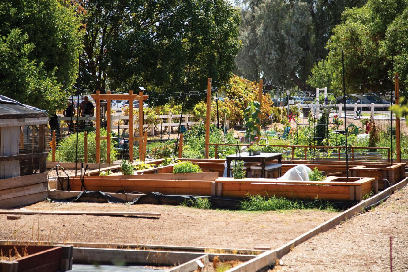 Agritopia program brings farms to East Valley schools Community Focus