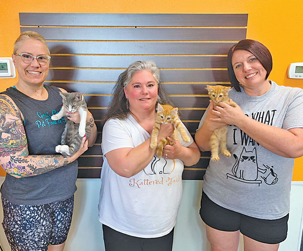 Ahwatukee store helping EV cat rescue News ahwatukee