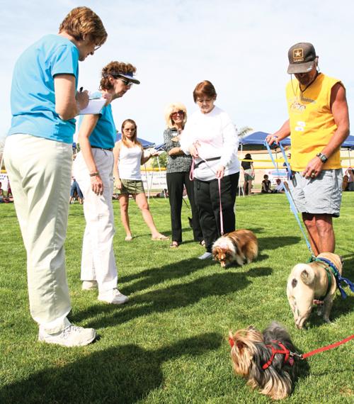 Ahwatukee Dog Show this weekend
