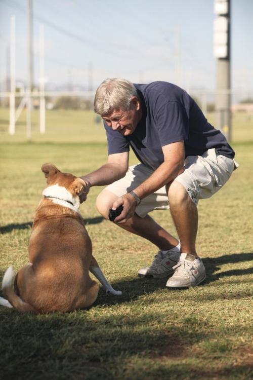 afn.100610.com.dogpark1.jpg