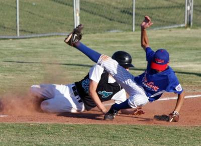 Little Leaguers still knocking it out of the park