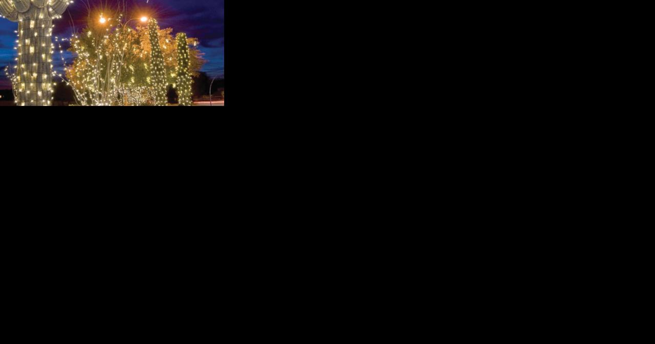Donations still needed for holiday lights display - Vimarsana News