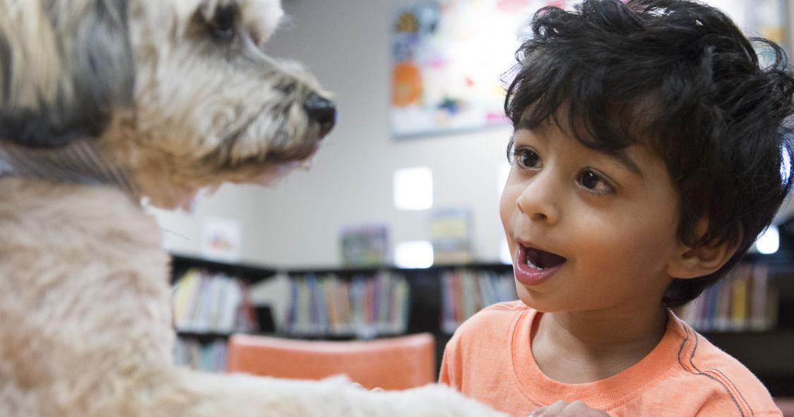 ‘Read to Zach’: Therapy dog visits local library weekly so kids can ...