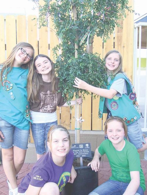 Local girl scouts donate a tree AAWL new adoption center