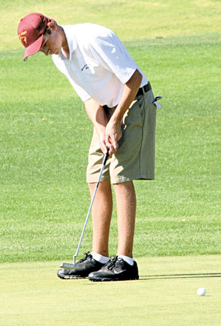 Anderson a quick links study