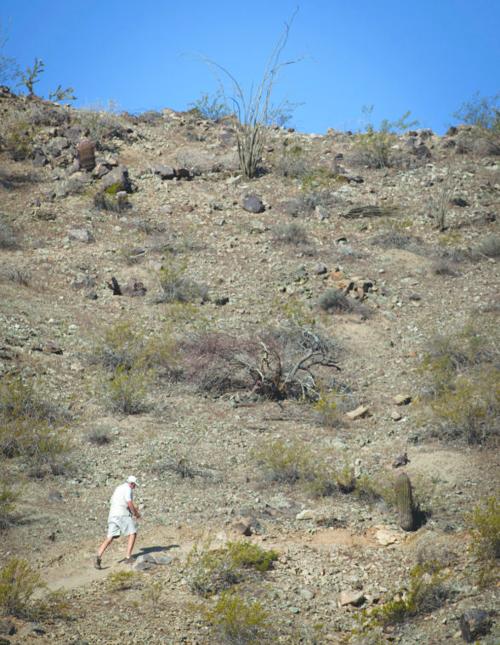 Bursera Trail