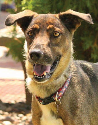 Someone to love: Leah