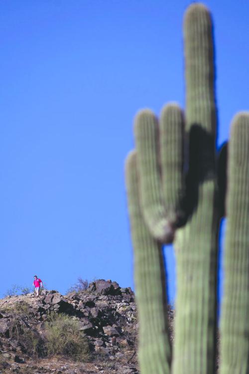Bursera Trail