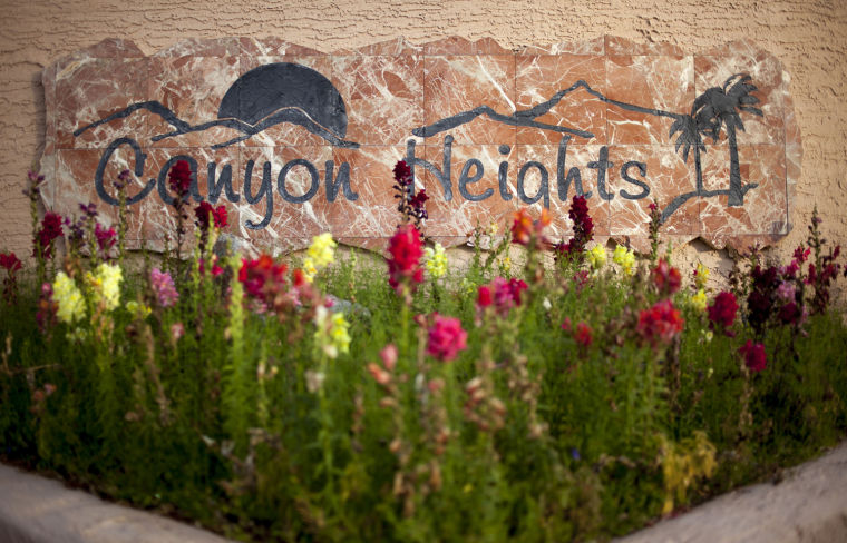 Neighborhood: Canyon Heights