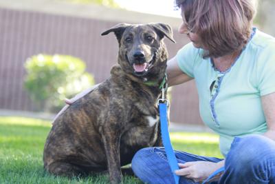 Debbie Varner of Follow Your Heart Animal Rescue