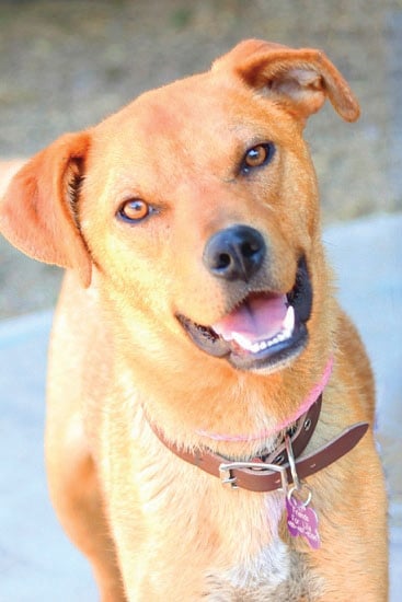 Someone to love: Riley