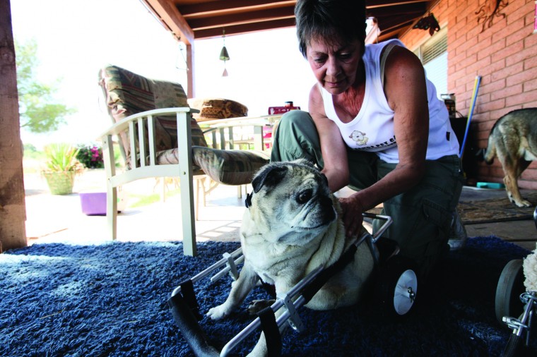 afn.052610.com.petrescue2.jpg