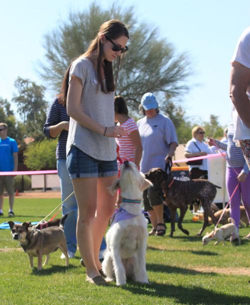Ahwatukee Family Dog Show