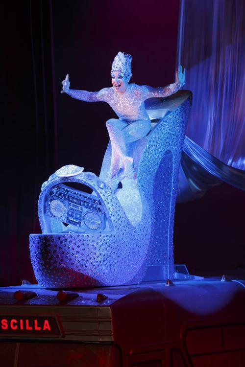 Priscilla Photo Caption Contest