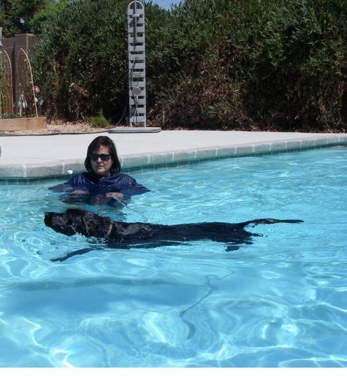 Pet swim safety