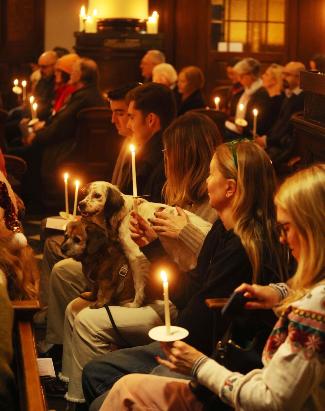 Pets Fill Pews For Howl-a-long Christmas Carol Service | National ...