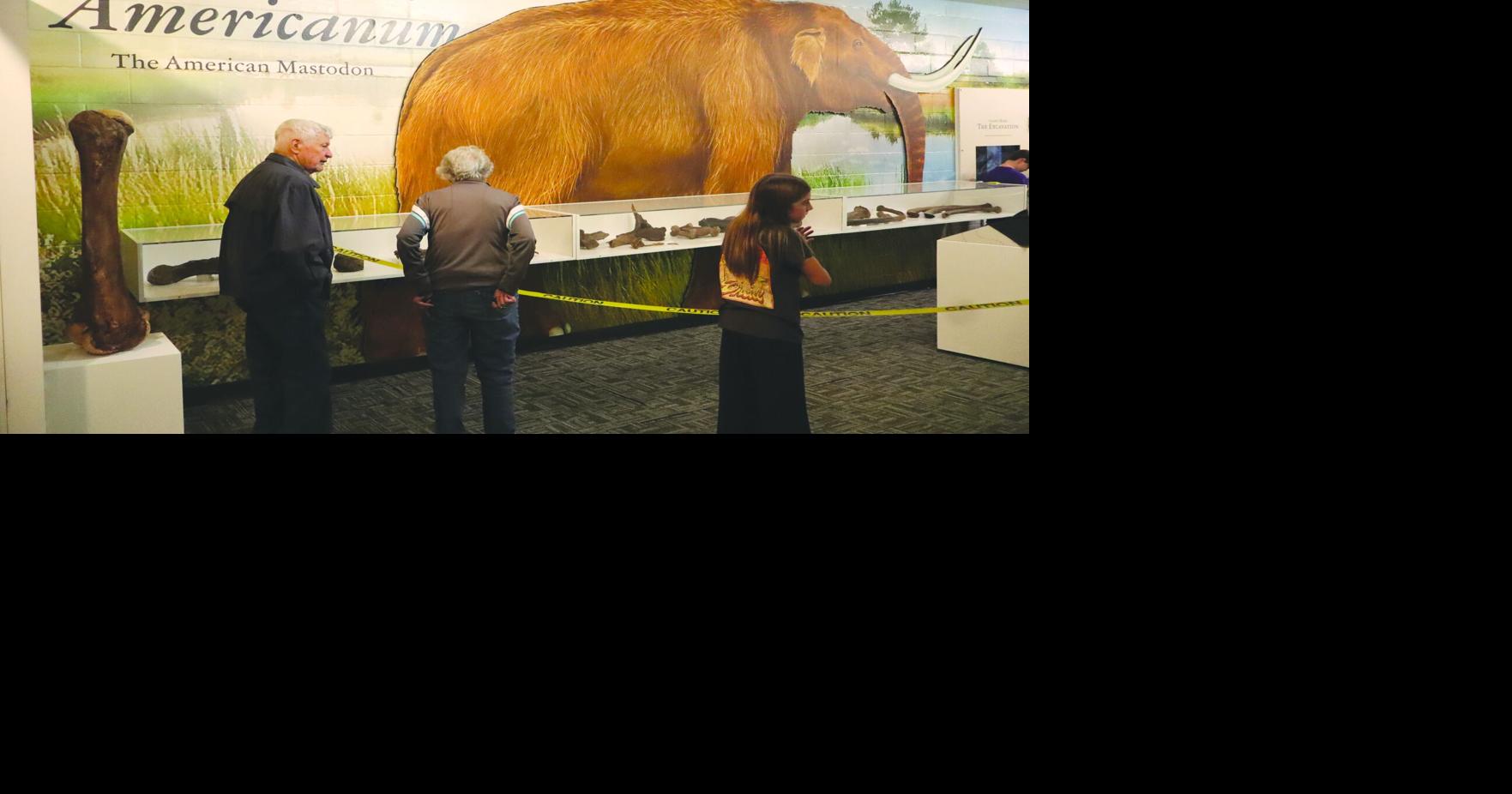 Dolly the Mastodon’s exhibit unveiled in Corydon | News | albianews.com