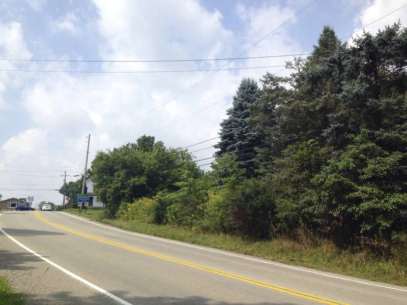 Dollar General looking at Springfield Twp. site Local News