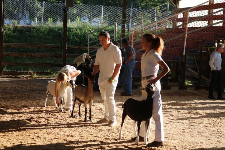 Great Stoneboro Fair president honored as "Friend of the Fair" News