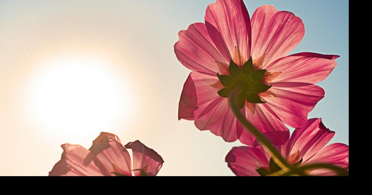 Hottest Aprils in Pennsylvania since 1895