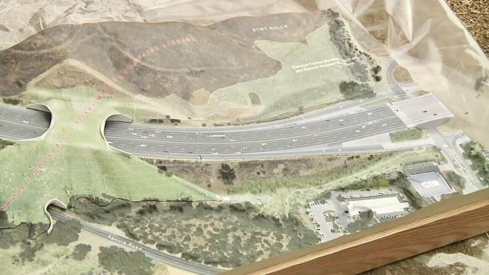 Pa. looks to create safe wildlife crossings