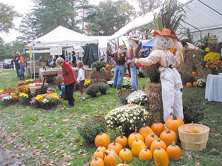 Celebrate Fall At Grove City Fest On Saturday Local News