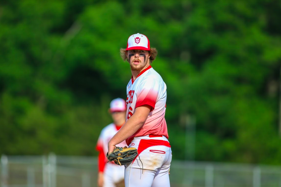 Walk off stings Bees | Multimedia | altavistajournal.com