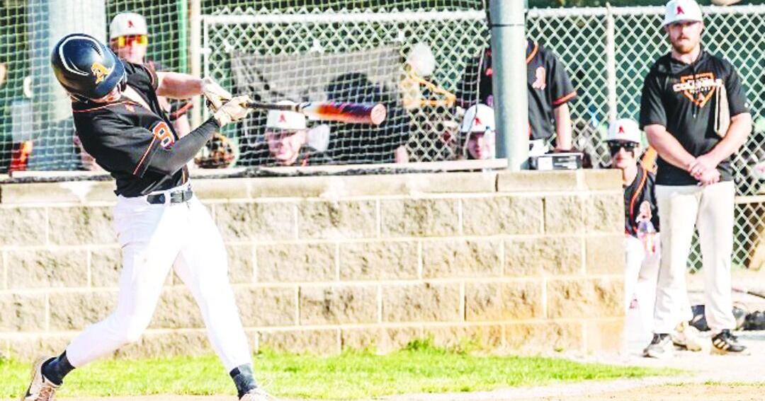 Altavista captures region baseball title on June 5 | Online Features ...