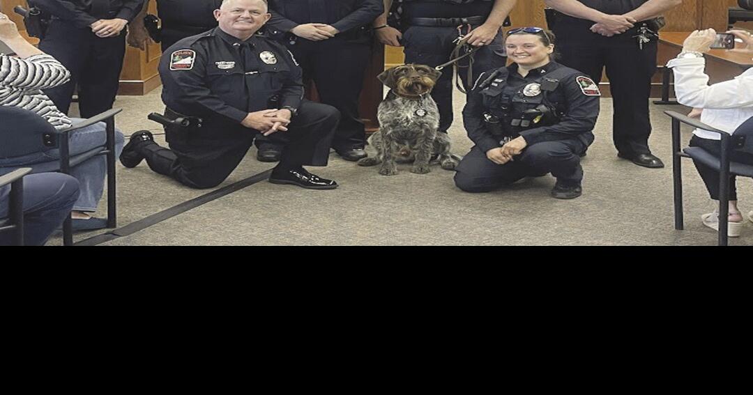 Altavista Police Department holds awards to recognize recent promotions